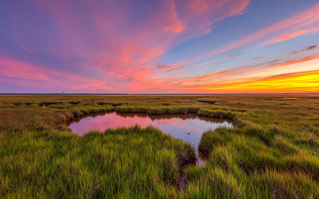 Sunset marsh pond clouds nature free wallpaper for desktop - medium preview image