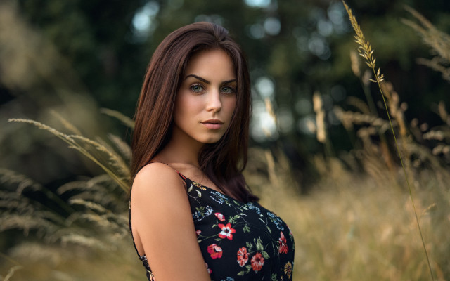 Woman field tallgrass portrait blurry free wallpaper for desktop - medium preview image