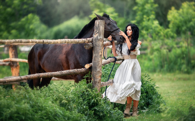Woman white dress horse fence free wallpaper for desktop - medium preview image