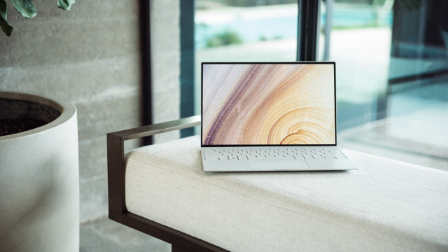 Laptop bench potted plant window free wallpaper for desktop - medium preview image