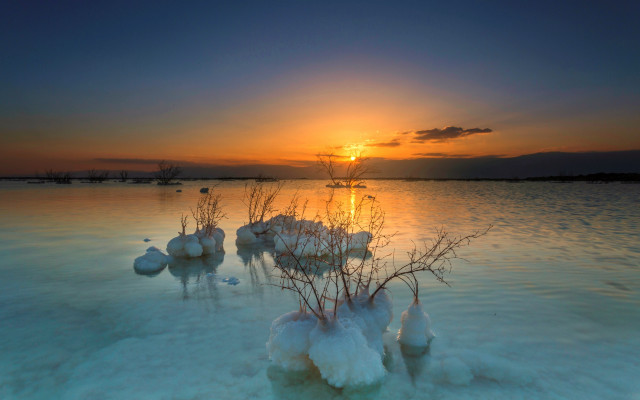 Sunset water plants snow reflection free wallpaper for desktop - medium preview image