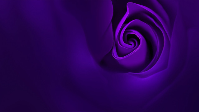Purple rose large center 3d free wallpaper for desktop - medium preview image