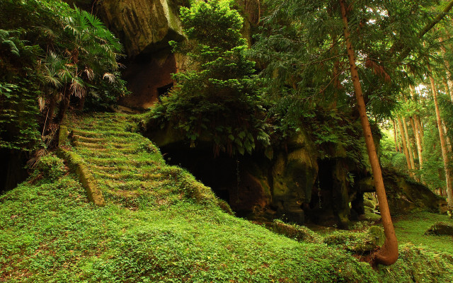 Lush green forest staircase cave #3 free wallpaper for desktop - medium preview image