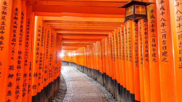 Orange pillars asiatic writing lantern free wallpaper for desktop - medium preview image