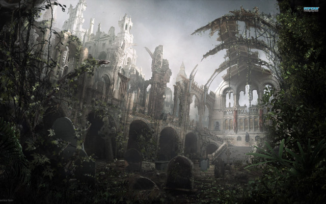 Ruined city nature bird flying free wallpaper for desktop - medium preview image