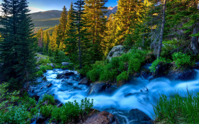 Stream forest trees rocks mountains free wallpaper for desktop - medium preview image