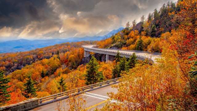 Scenic highway bridge fall leaves free wallpaper for desktop - medium preview image