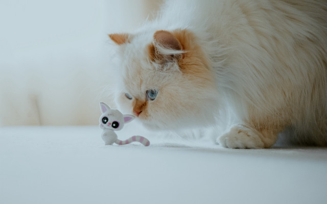 Cat playing toy mouse white free wallpaper for desktop - medium preview image