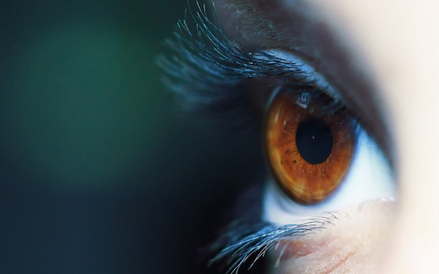 Eye brown iris macro realistic free wallpaper for desktop - medium preview image