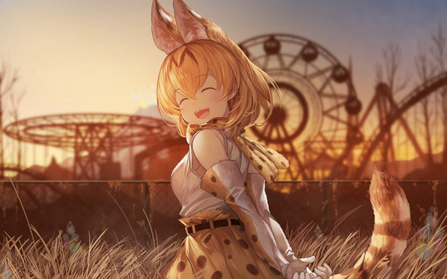 Girl dress field cat ferriswheel free wallpaper for desktop - medium preview image