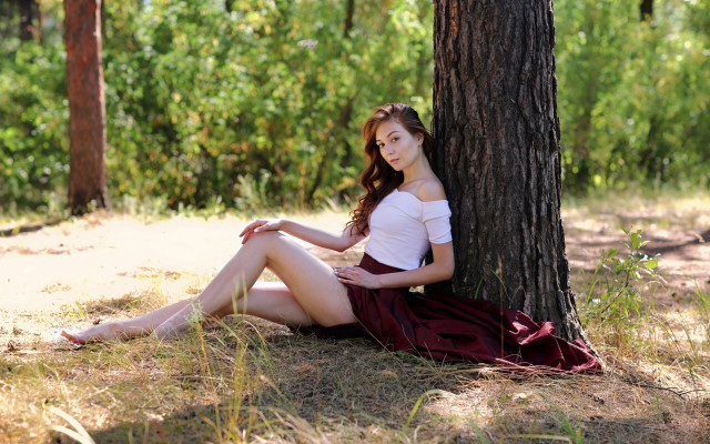 Woman sitting under tree forest free wallpaper for desktop - medium preview image