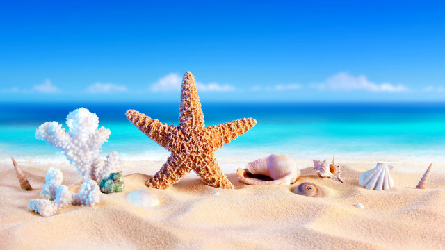 Starfish shells beach ocean sky #2 free wallpaper for desktop - medium preview image