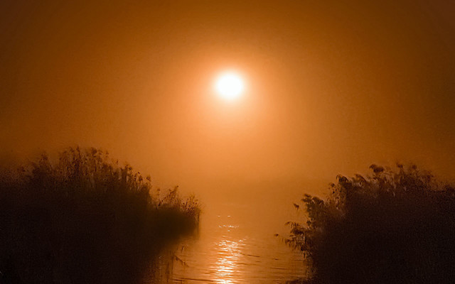 Foggy road light distant person free wallpaper for desktop - medium preview image