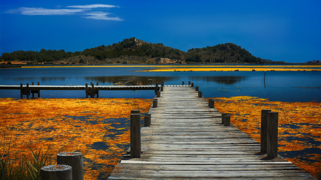 Wooden dock lake greenhills yellowflowers free wallpaper for desktop - medium preview image