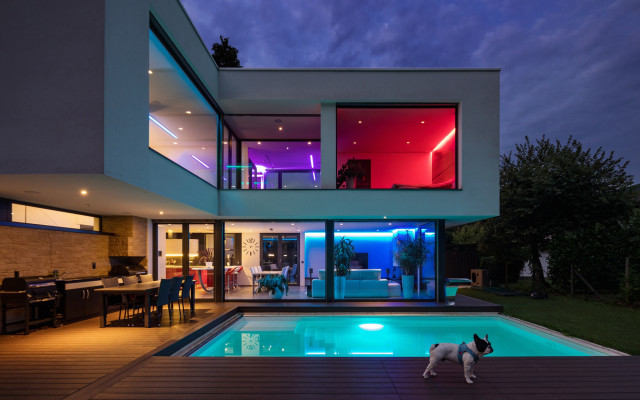 Dog pool night house deck free wallpaper for desktop - medium preview image