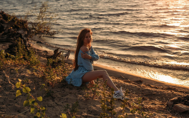 Elina karimova beach dog frisbee free wallpaper for desktop - medium preview image