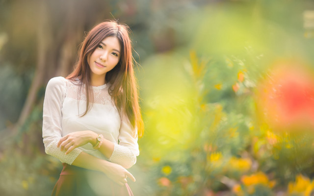 Garden blurry portrait christmas bokeh free wallpaper for desktop - medium preview image