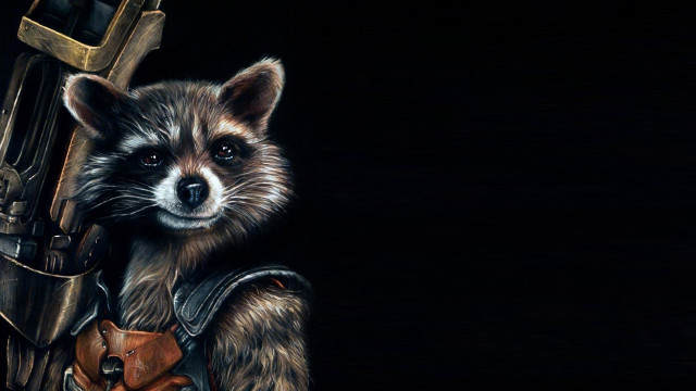 Raccoon gun leather outfit animal free wallpaper for desktop - medium preview image