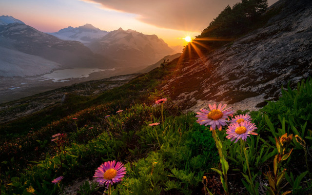 Sunset mountain flower lake horizon free wallpaper for desktop - medium preview image