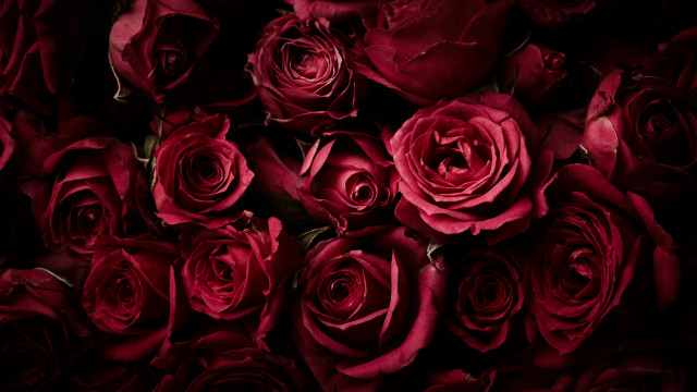 Red roses bouquet black background #2 free wallpaper for desktop - medium preview image