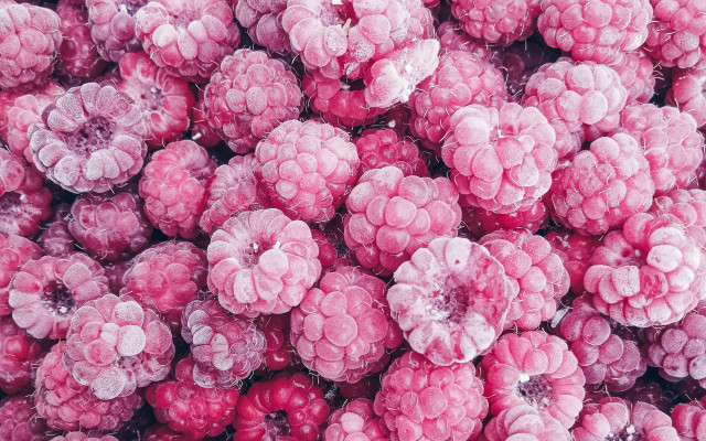 Raspberries ice water droplets microscopic free wallpaper for desktop - medium preview image
