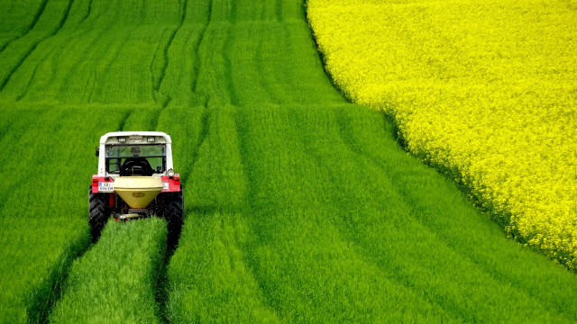 Tractor green field yellow flower free wallpaper for desktop - medium preview image