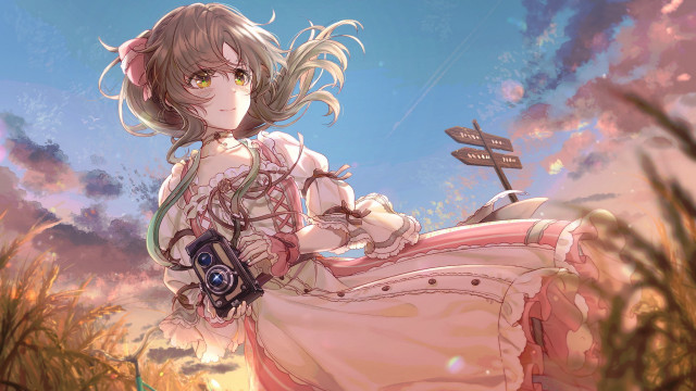 Woman dress field bird sky free wallpaper for desktop - medium preview image