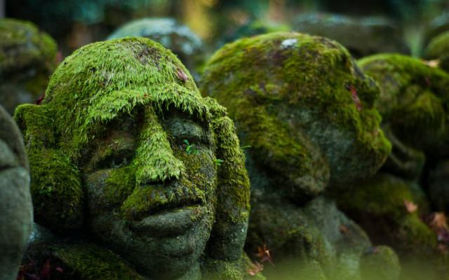 Moss covered statues forest face free wallpaper for desktop - medium preview image