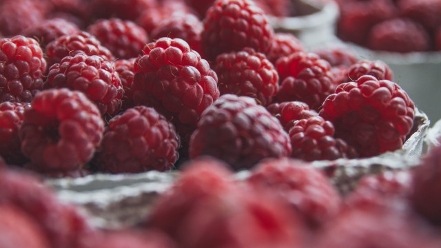 Raspberries tray market tiltshift blurry free wallpaper for desktop - medium preview image