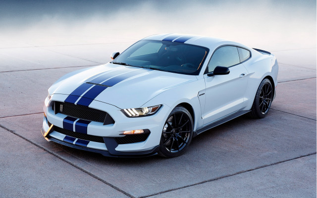 White mustang blue stripes fog free wallpaper for desktop - medium preview image