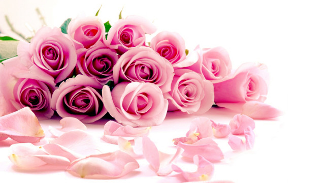 Pink roses bouquet ground petals free wallpaper for desktop - medium preview image