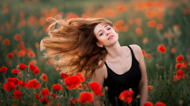 Woman long hair flower field #5 free wallpaper for desktop - medium preview image