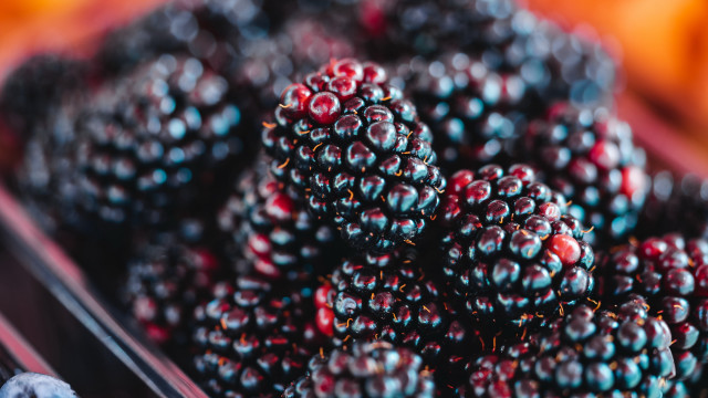 Berries bowl bokeh christmas santa free wallpaper for desktop - medium preview image