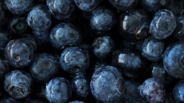 Blueberries brown spots black macro free wallpaper for desktop - medium preview image
