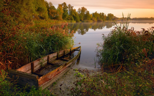 Lake sunset ecological landscape forest free wallpaper for desktop - medium preview image