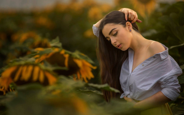 Sunflower field woman blurry portrait free wallpaper for desktop - medium preview image