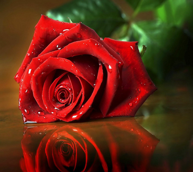 Red rose water droplets gothic #15 free wallpaper for tablet - medium preview image