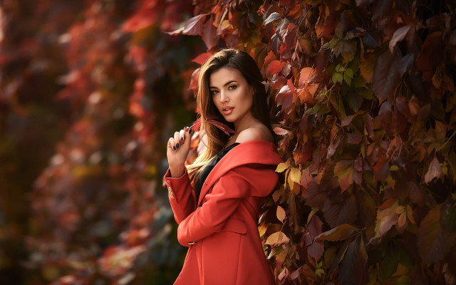 Woman red dress autumn leaves #3 free wallpaper for desktop - medium preview image