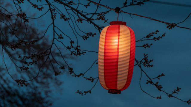 Red white lantern night bamboo free wallpaper for desktop - medium preview image