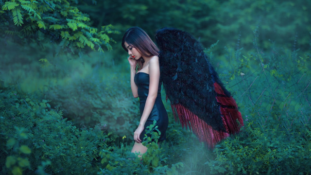 Gothic woman black dress feather free wallpaper for desktop - medium preview image