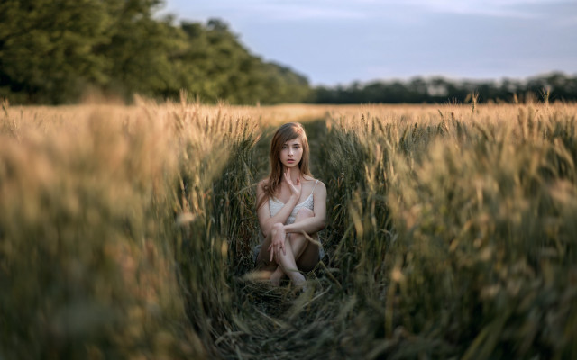 Woman sitting field blurry background free wallpaper for desktop - medium preview image