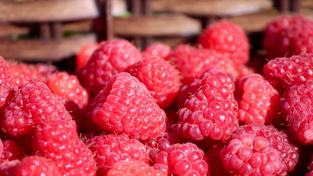 Raspberries strawberries macro photorealism food free wallpaper for desktop - medium preview image