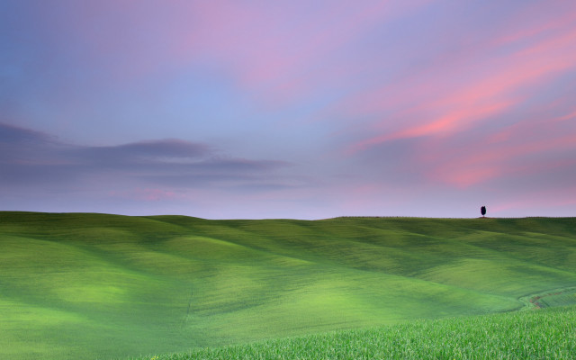 Lone tree hill sunset cloudy free wallpaper for desktop - medium preview image