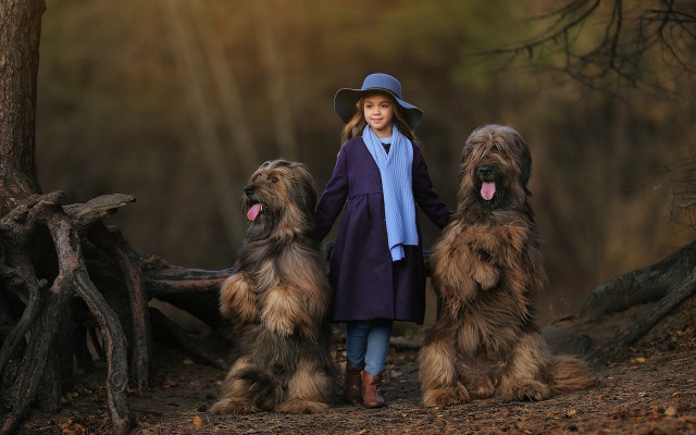 Girl hat coat dogs forest free wallpaper for desktop - medium preview image
