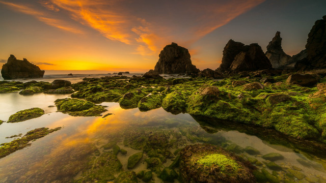 Sunset rocky beach green algae free wallpaper for desktop - medium preview image