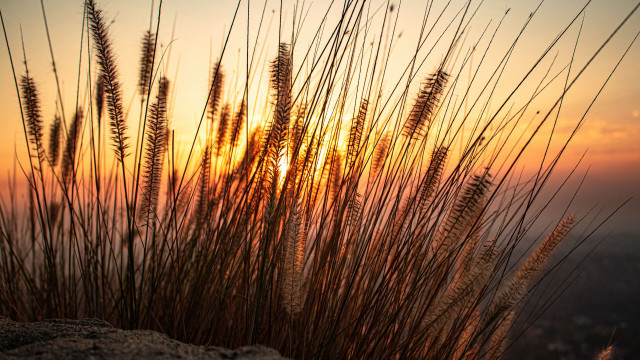 Sunset tallgrass city clouds dau free wallpaper for desktop - medium preview image