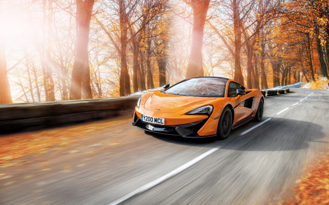 Orange sports car woods autumn free wallpaper for desktop - medium preview image