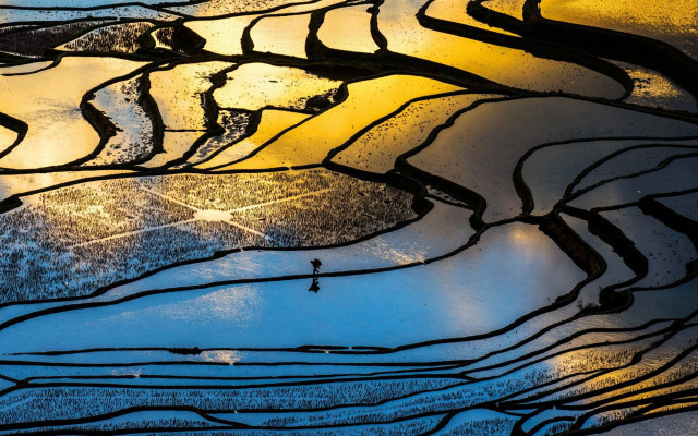 Rice field night sunshine window free wallpaper for desktop - medium preview image