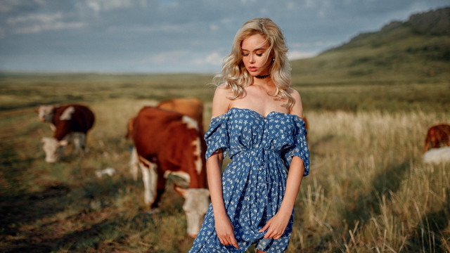 Woman blue dress field cows free wallpaper for desktop - medium preview image