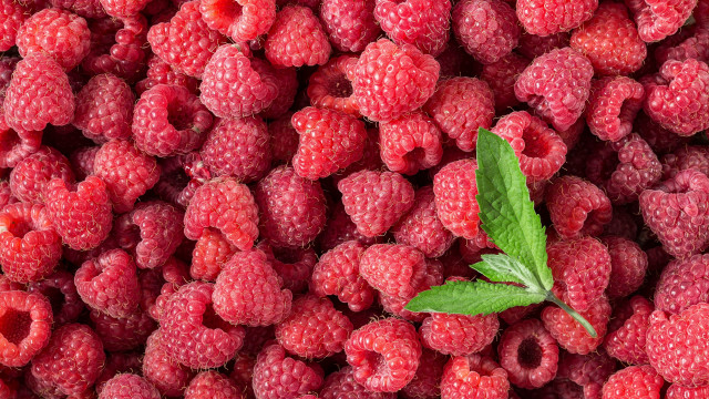 Raspberries leaf closeup food fruit free wallpaper for desktop - medium preview image